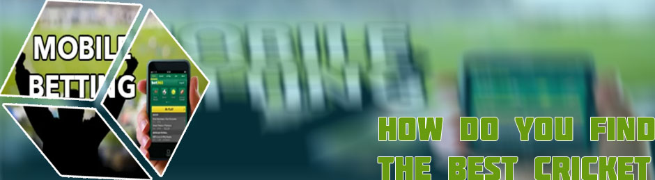 Cricket online betting site
