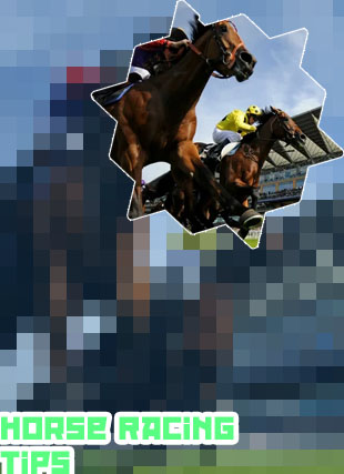 Most successful horse racing tipster